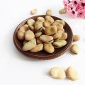 China Qinghai Origin dry broad beans/Fava Beans